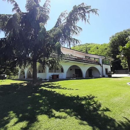 Bed and Breakfast "Cara Pace" In Collina Per Famiglie Montefiore Conca Exteriér fotografie