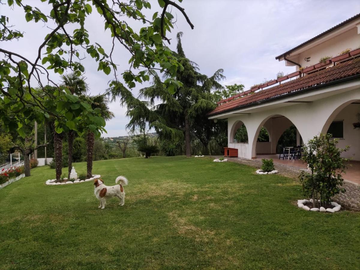 Bed and Breakfast "Cara Pace" In Collina Per Famiglie Montefiore Conca Exteriér fotografie